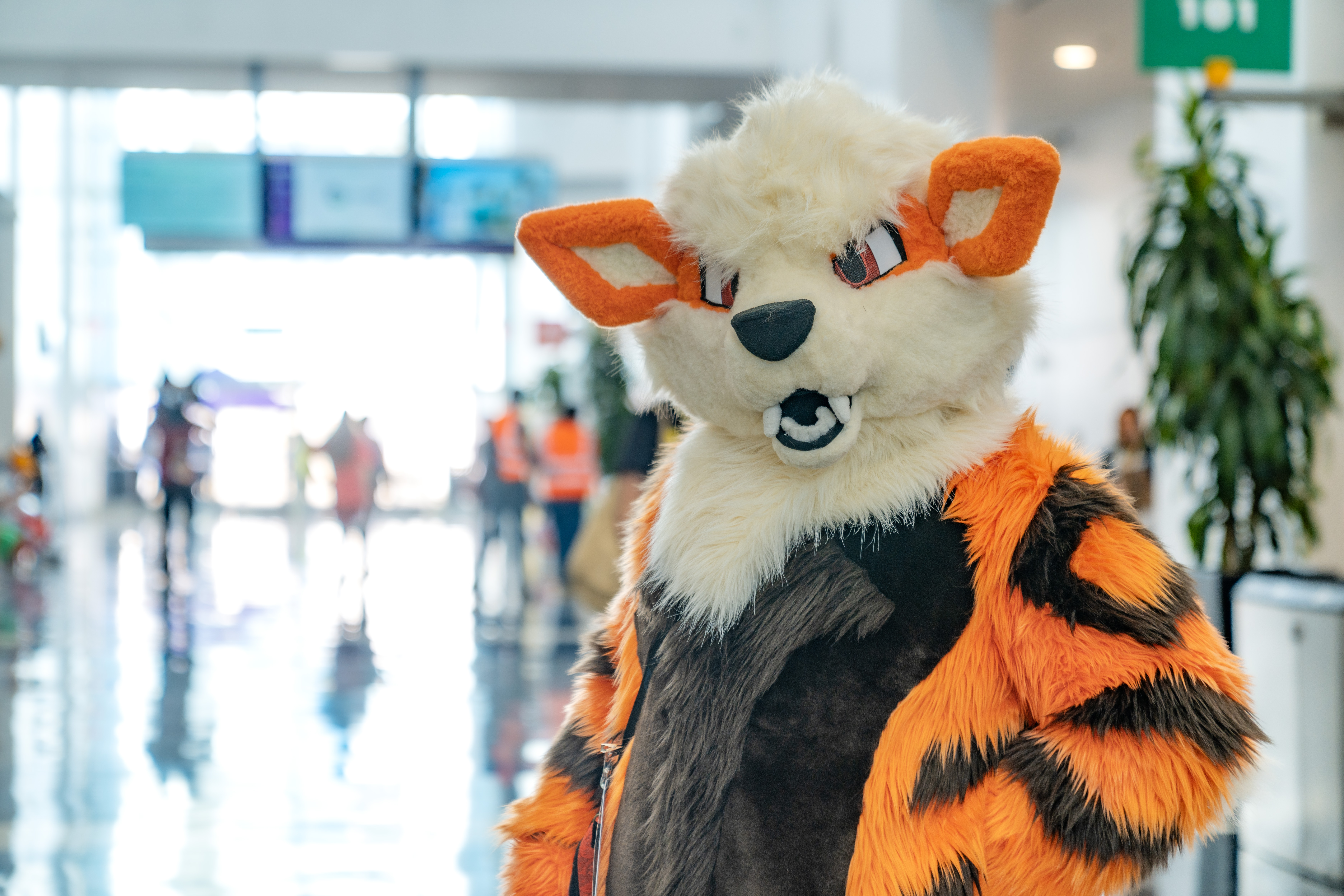 Airfryer Fursuit