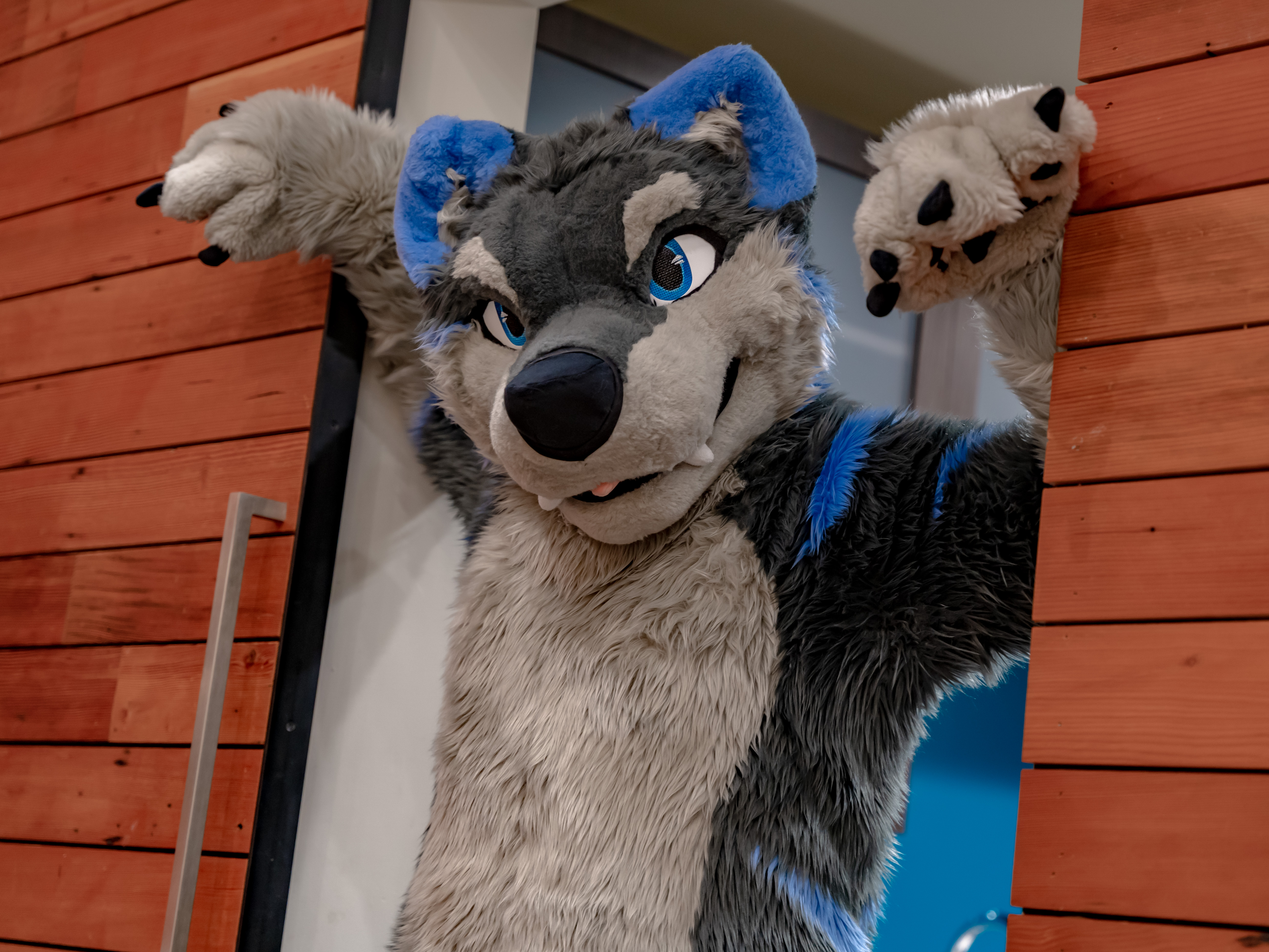 Caliber Fursuit