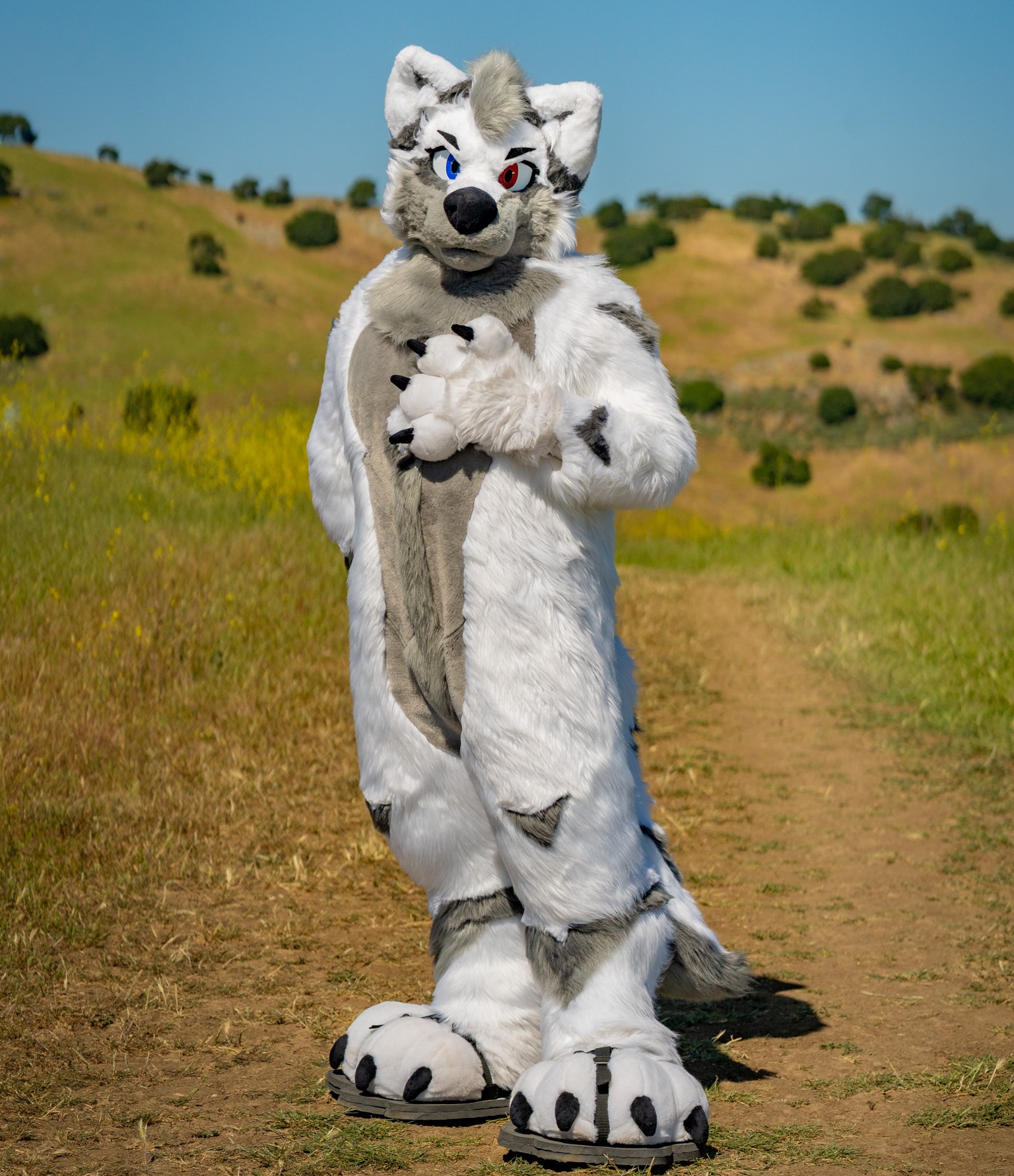 Fullsuit Example