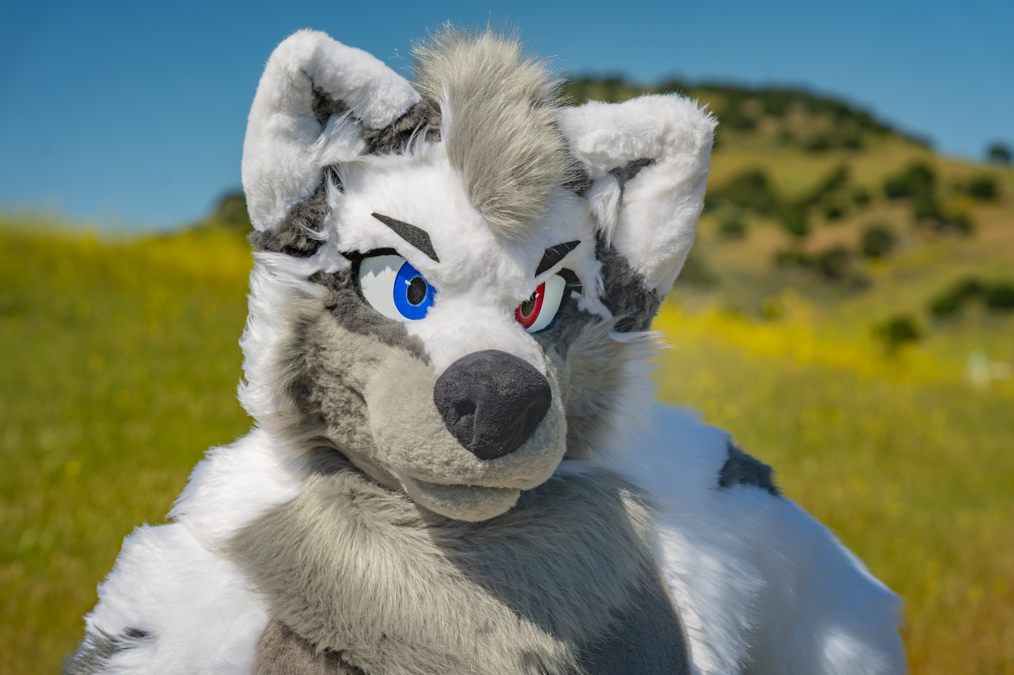 Yukito Fursuit